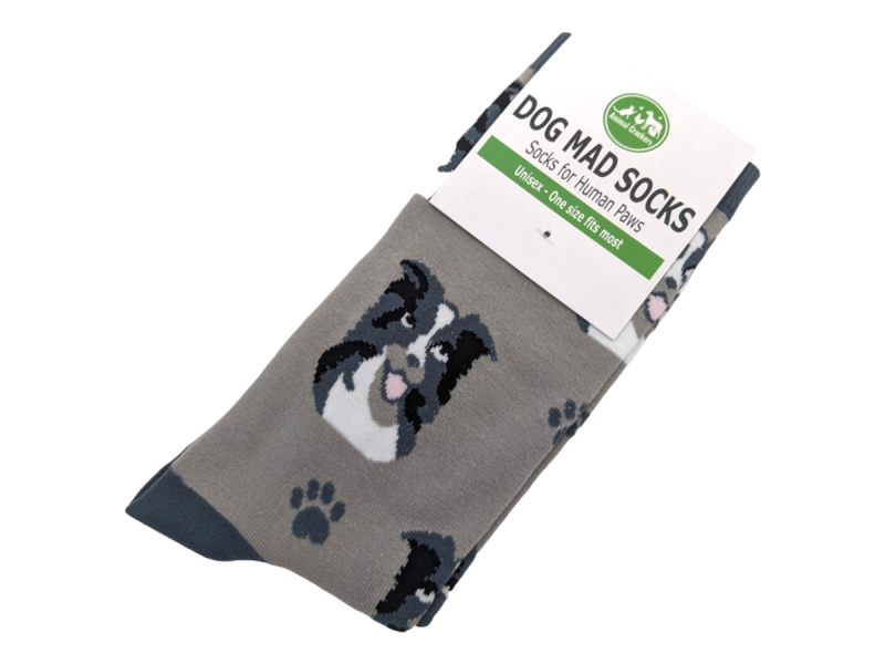 Some fun animal socks featuring a dogs face with 'Dog Mad Socks' branded cards.
