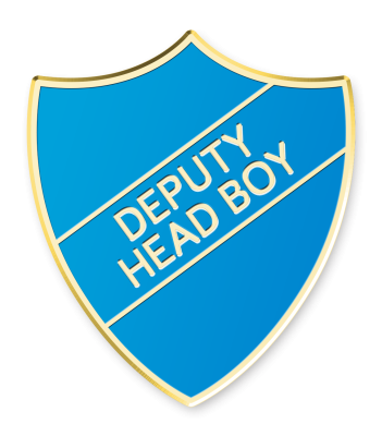 Deputy Head Boy Badges