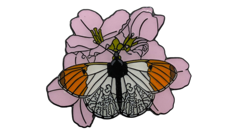 A beautiful butterfly pin hard enamel pin badge.