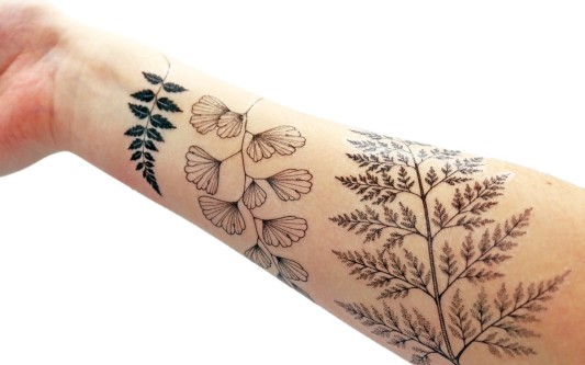 A woman's right arm features three temporary tattoos. Each tattoos is the delicate leaves of different plants.