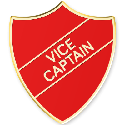 Vice Captain Badges